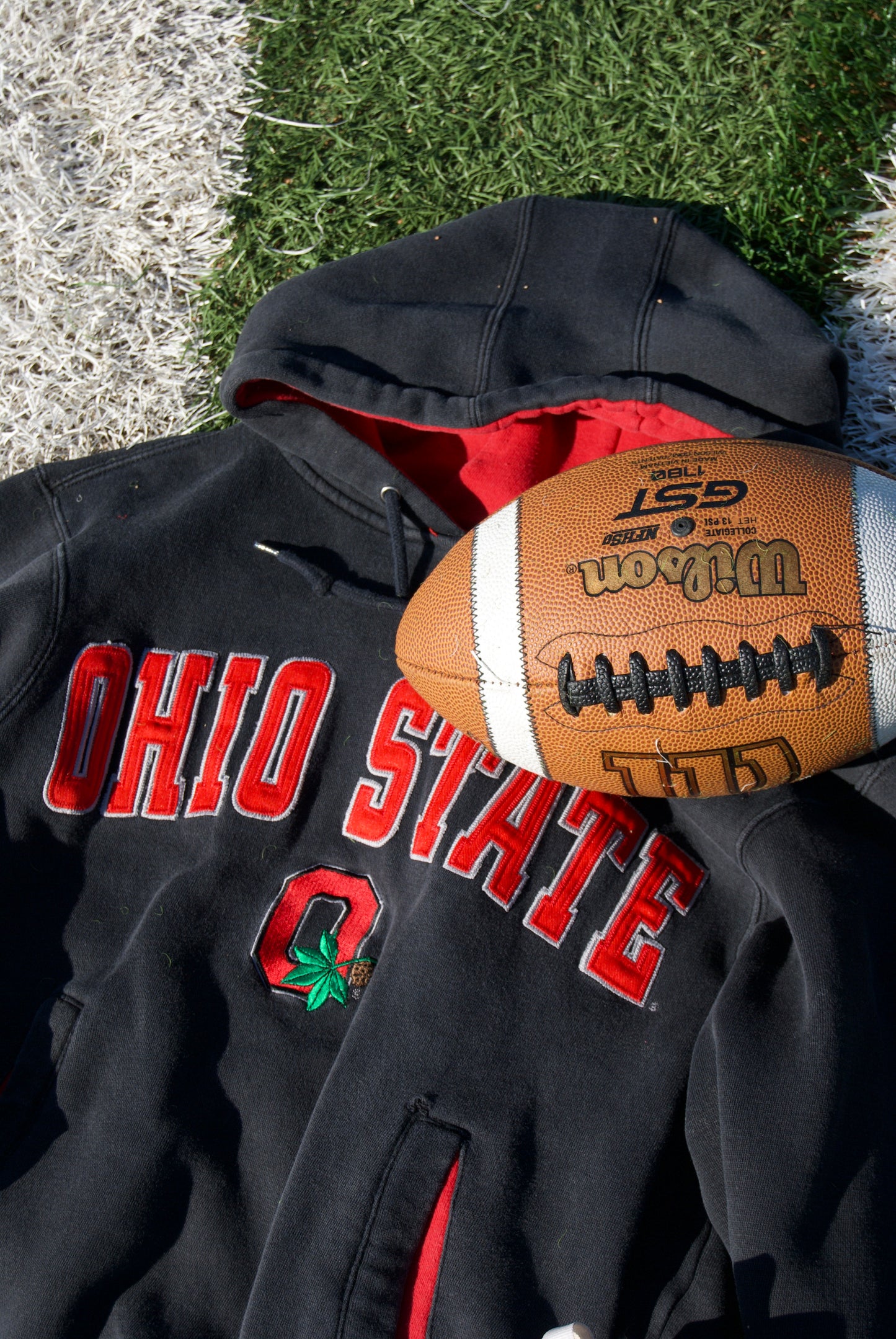 Ohio State University Hoodie